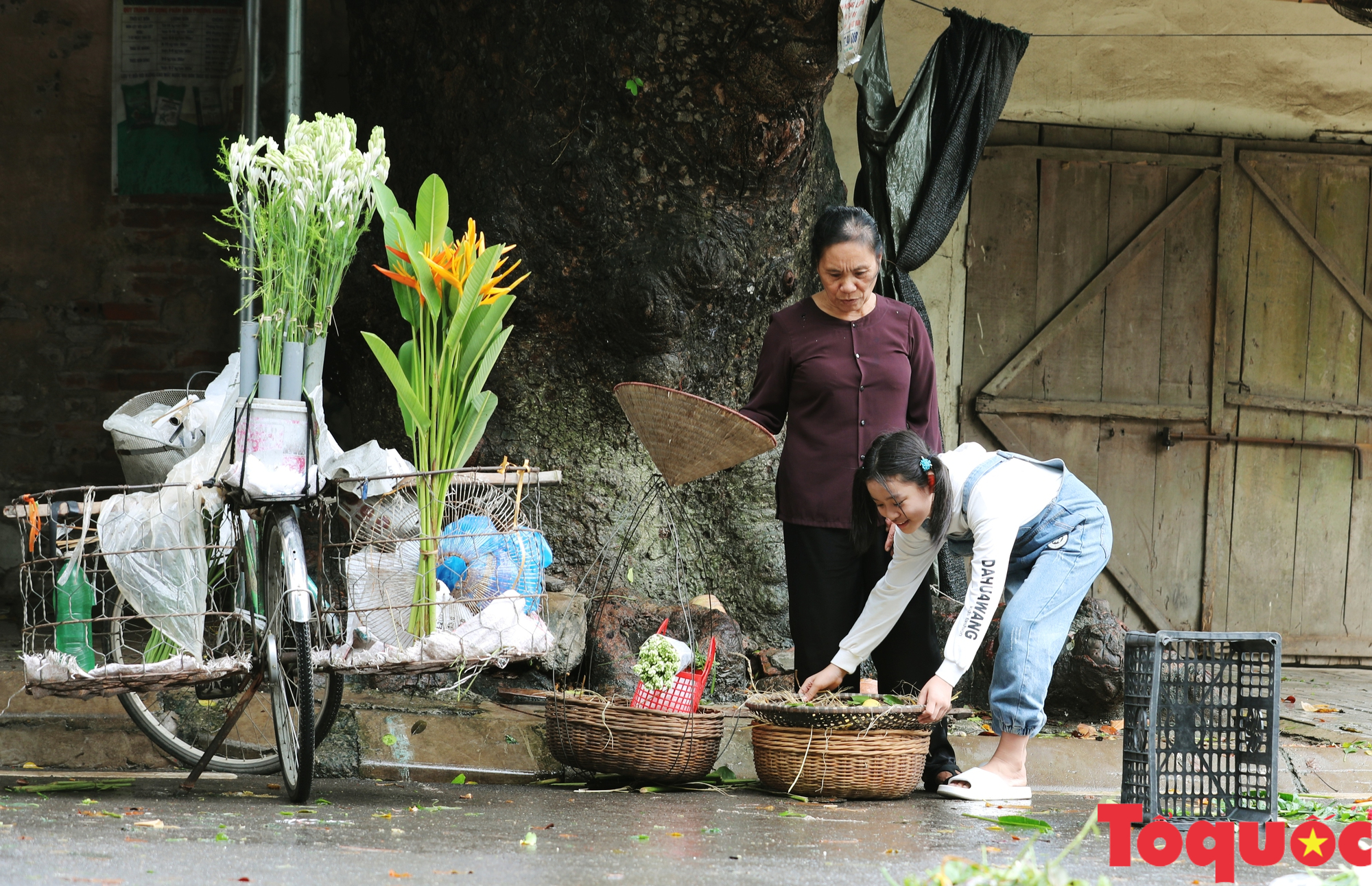 Cùng gánh thị của bà mang mùa thu ra phố - Ảnh 19.