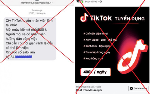 "Like - share - thả tim" trên TikTok là ra tiền, cảnh báo chiêu trò lừa đảo "việc nhẹ lương cao" trên mạng xã hội - Ảnh 2.