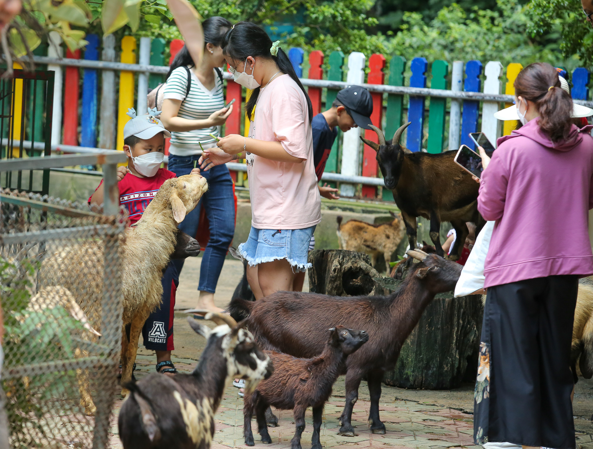 Hàng nghìn người dân đến Thảo Cầm Viên Sài Gòn vui chơi trong ngày đầu nghỉ Lễ 2/9  - Ảnh 15.