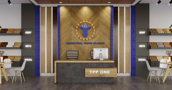 CEO TPP One: Bứt phá ngoạn mục 80% năm 2021, duy trì bền vững 2022 - Ảnh 1.