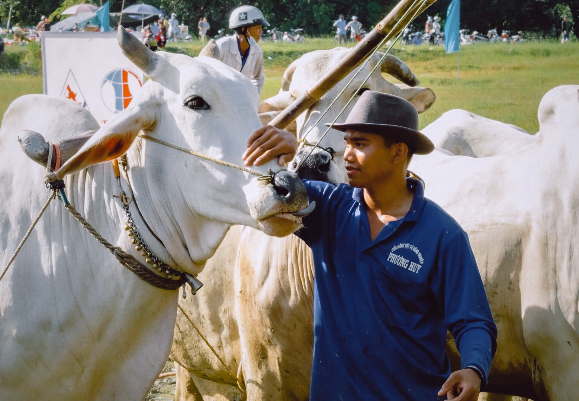 Những khoảnh khắc ấn tượng lại Lễ hội Đua bò lớn nhất  miền Tây, mỗi năm chỉ diễn ra 1 lần  - Ảnh 5.