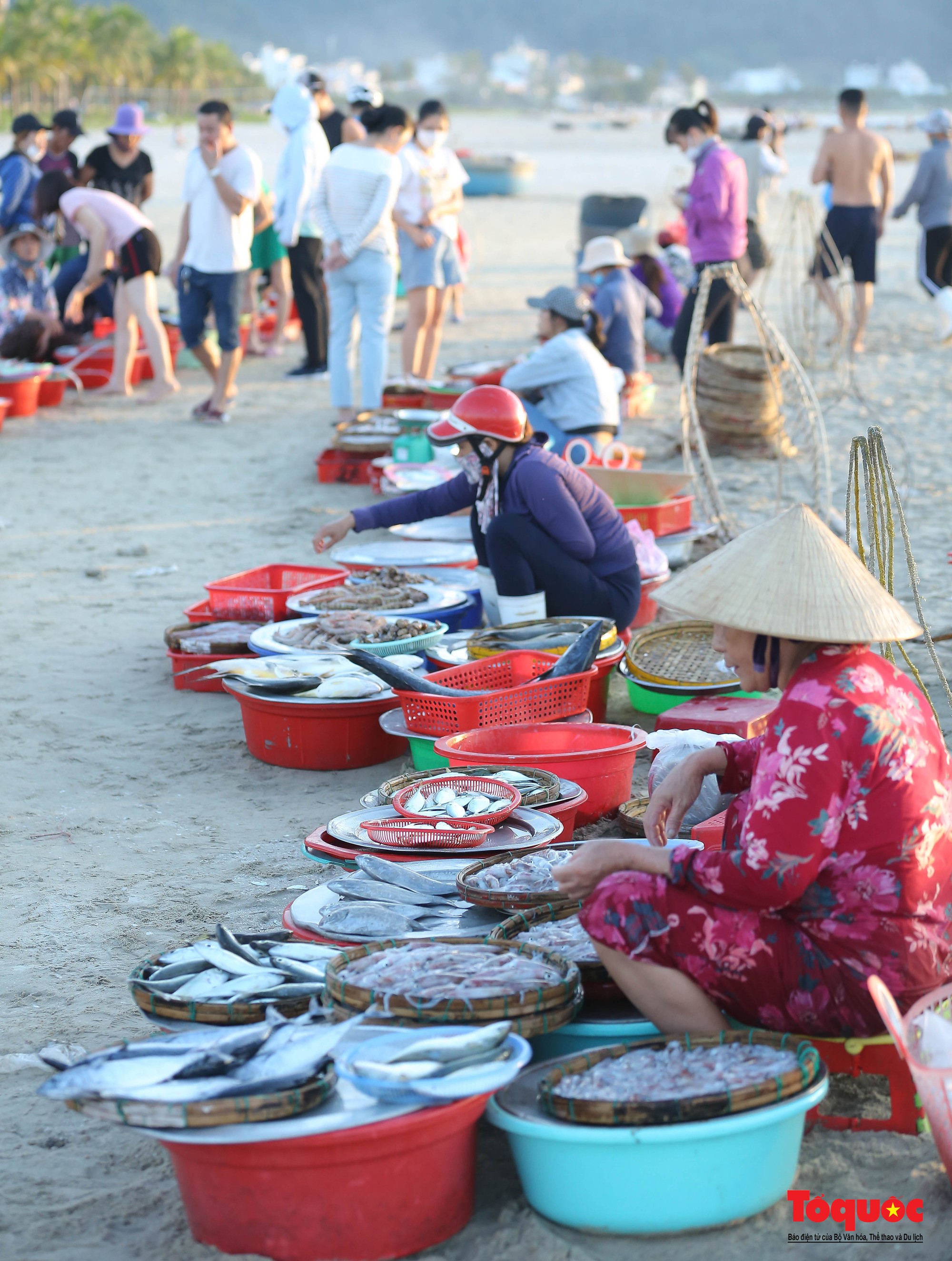 Ảnh: Chợ hải sản tươi rói bên bờ biển Đà Nẵng  - Ảnh 12.