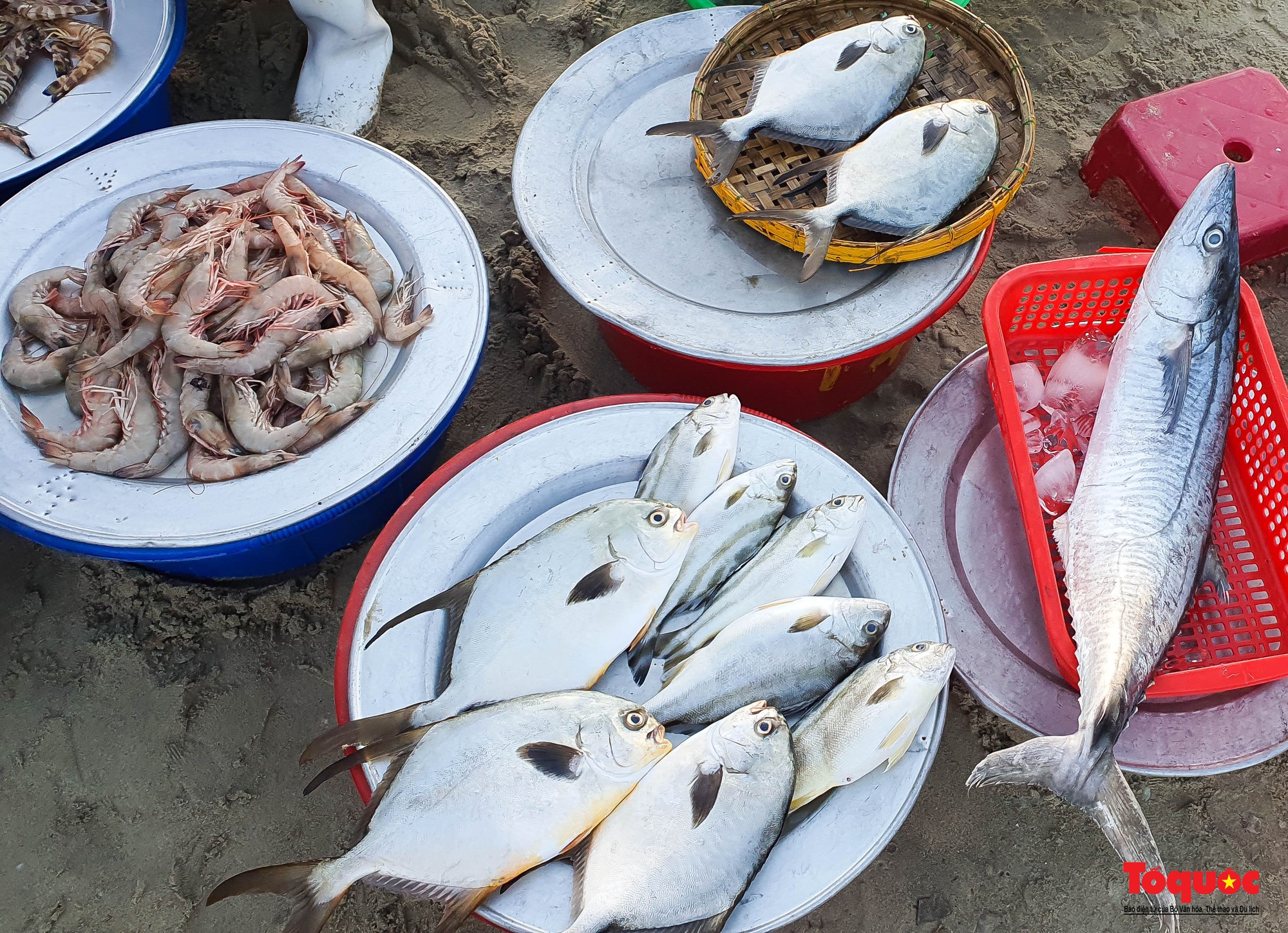 Ảnh: Chợ hải sản tươi rói bên bờ biển Đà Nẵng  - Ảnh 11.
