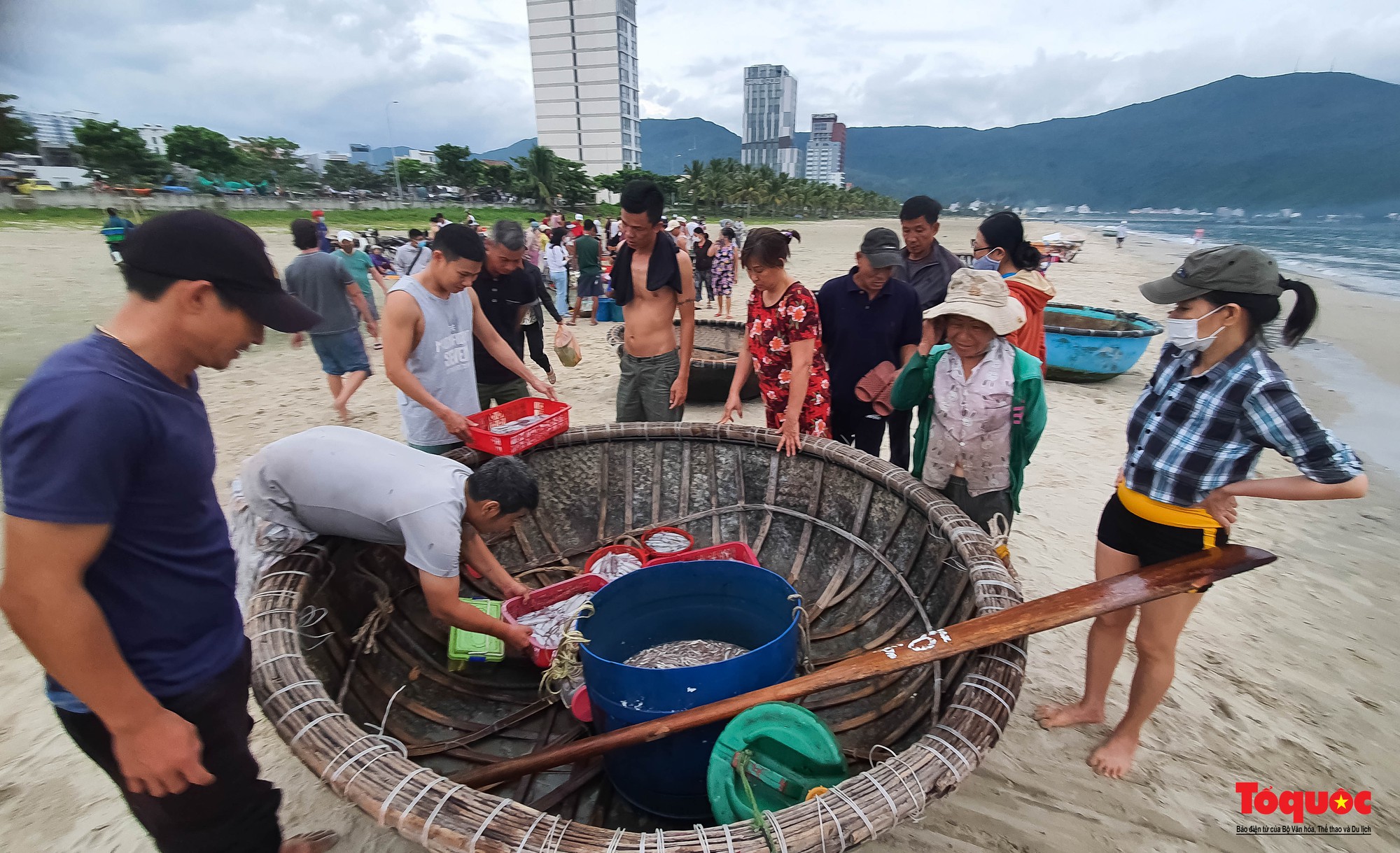 Ảnh: Chợ hải sản tươi rói bên bờ biển Đà Nẵng  - Ảnh 3.