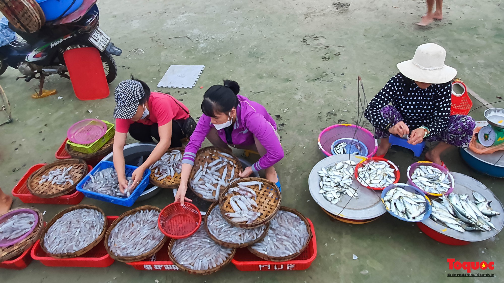 Ảnh: Chợ hải sản tươi rói bên bờ biển Đà Nẵng  - Ảnh 10.