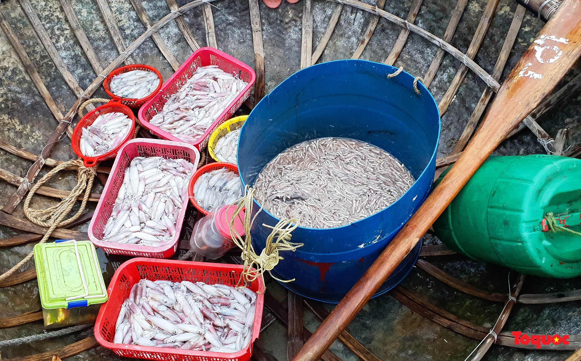 Ảnh: Chợ hải sản tươi rói bên bờ biển Đà Nẵng  - Ảnh 4.