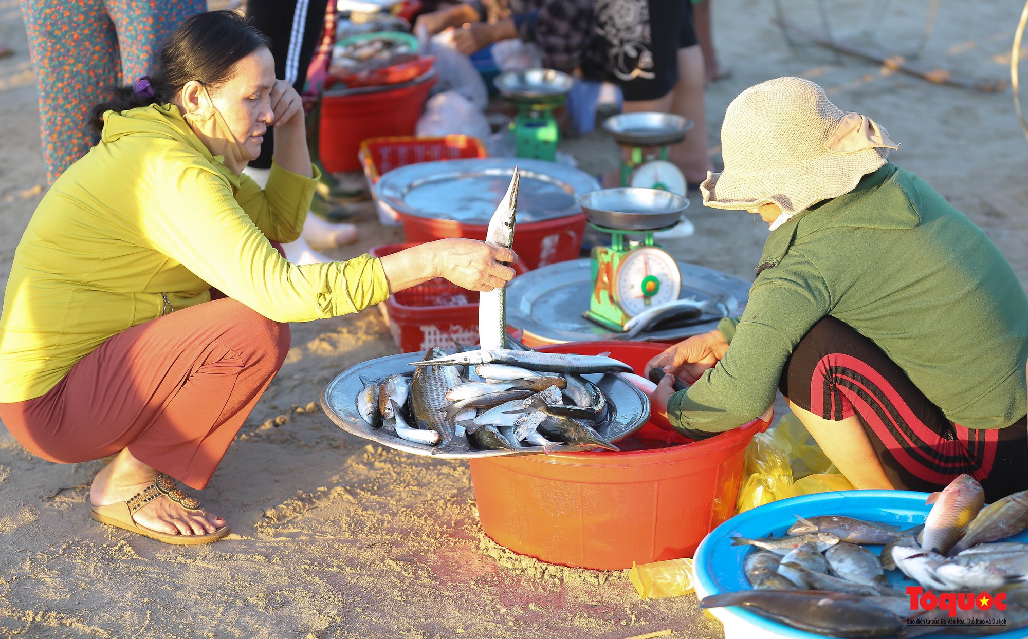 Ảnh: Hải sản tươi rói ở chợ bên bờ biển Đà Nẵng lúc bình minh - Ảnh 10.