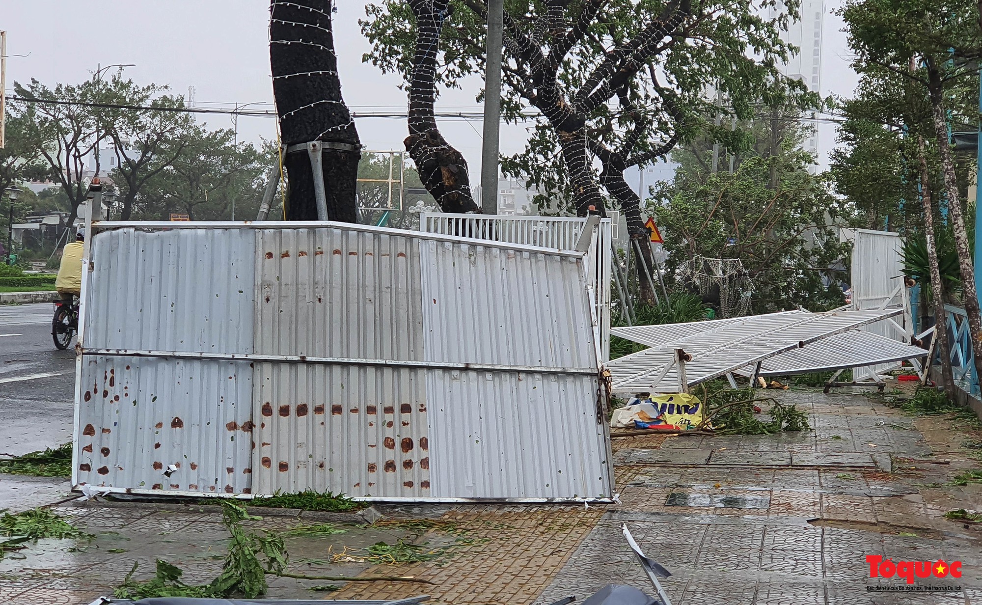 Hình ảnh thiệt hại sau bão tại Đà Nẵng - Ảnh 16.