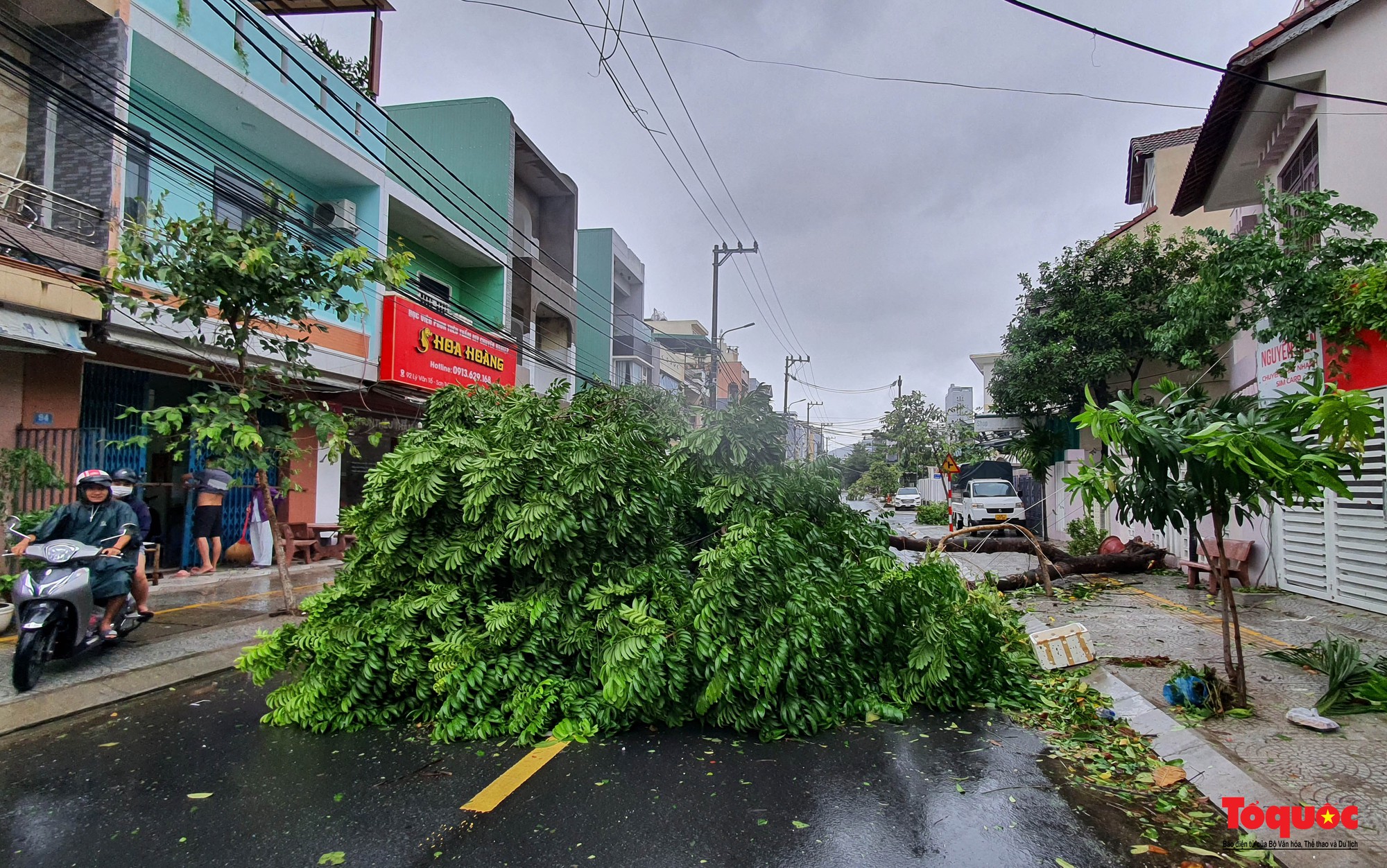 Hình ảnh thiệt hại sau bão tại Đà Nẵng - Ảnh 8.