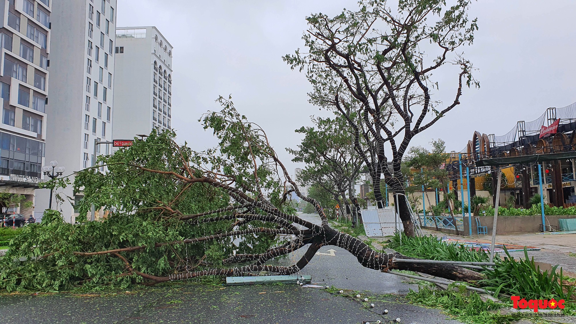 Hình ảnh thiệt hại sau bão tại Đà Nẵng - Ảnh 3.