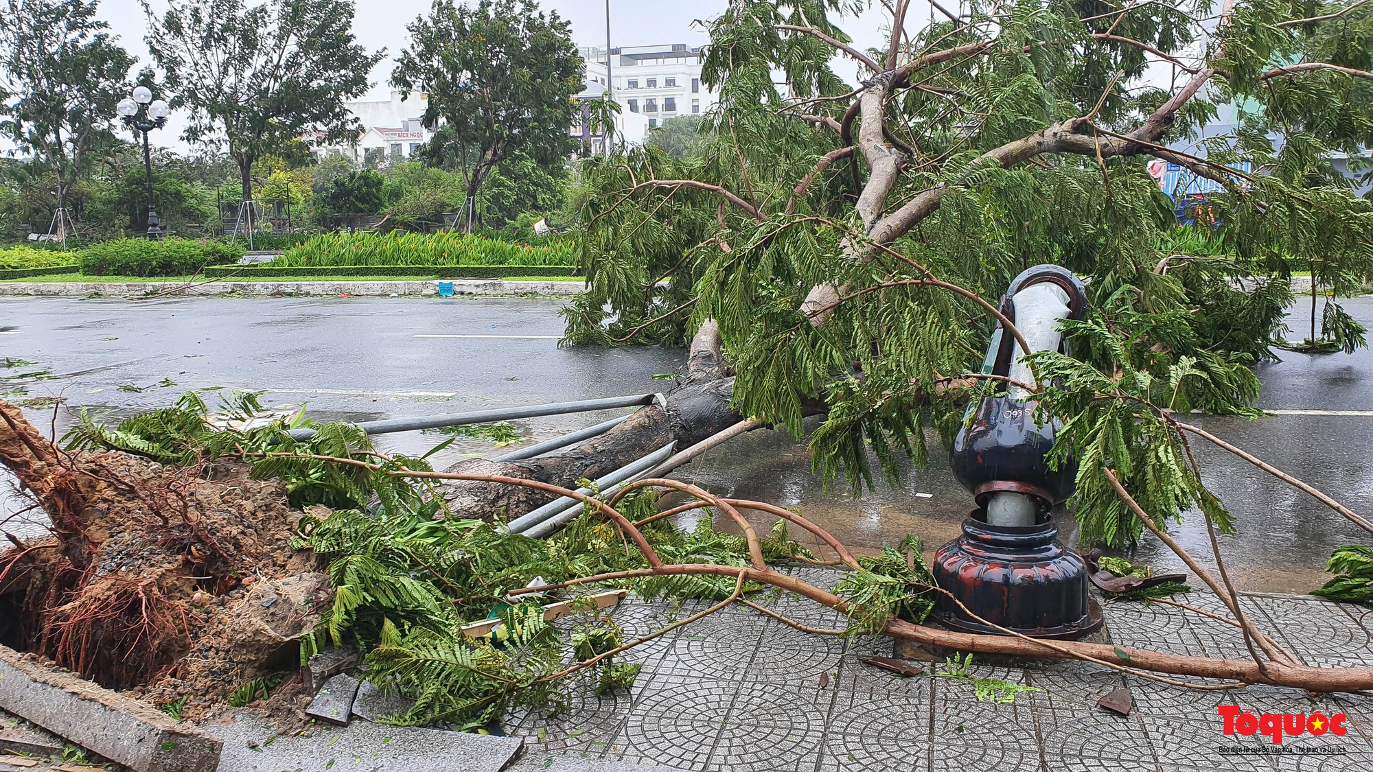 Hình ảnh bão Noru gây thiệt hại tại Đà Nẵng - Ảnh 8.