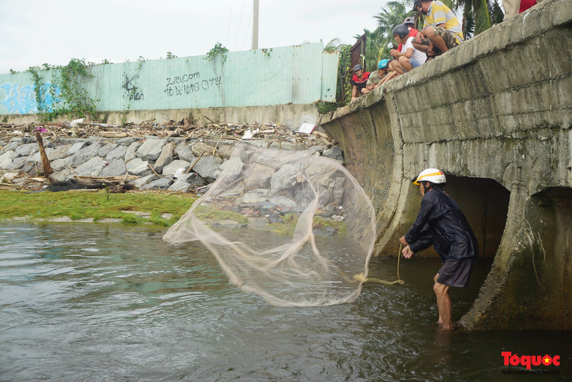 Sau bão Noru, người dân đổ ra bờ biển bắt…cá nước ngọt - Ảnh 3.