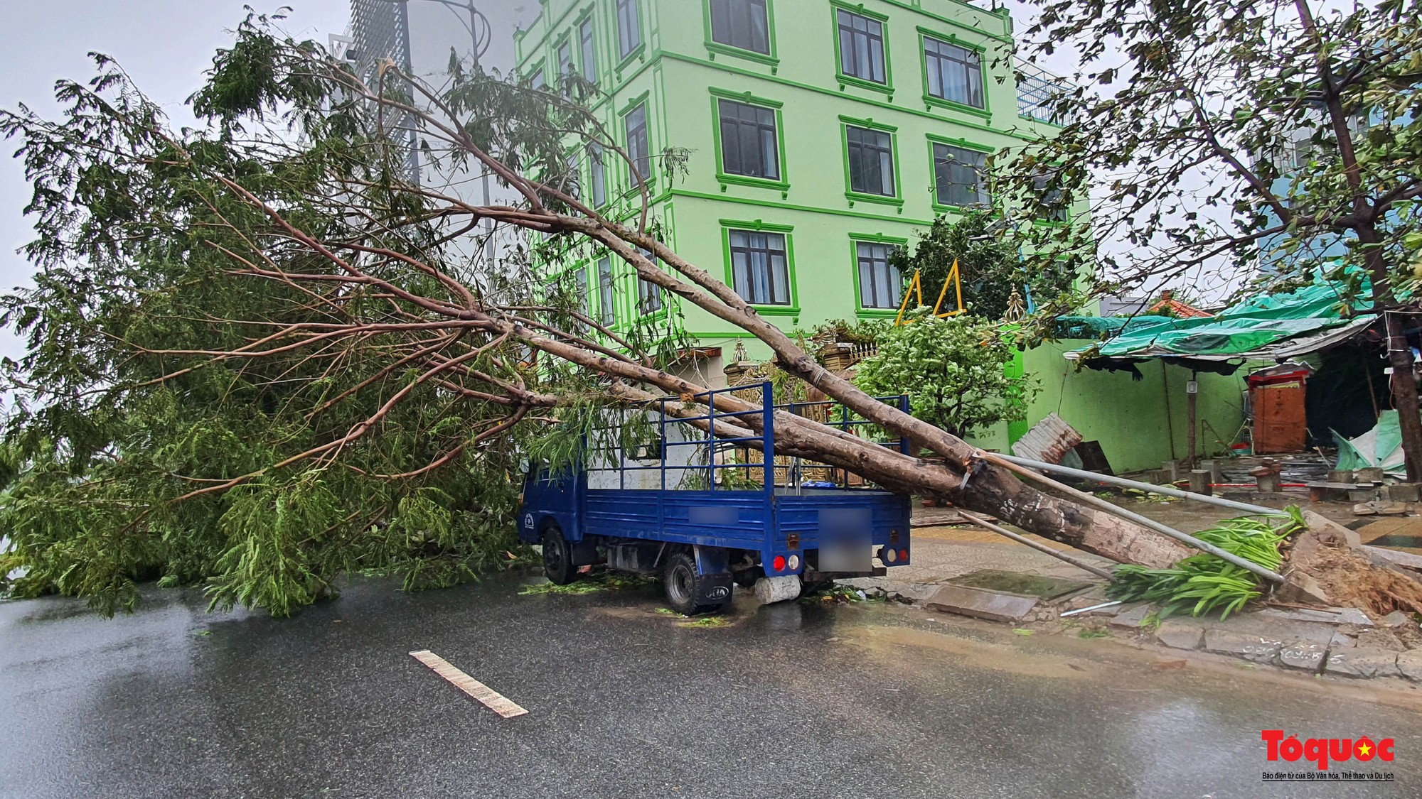 Hình ảnh thiệt hại sau bão tại Đà Nẵng - Ảnh 5.