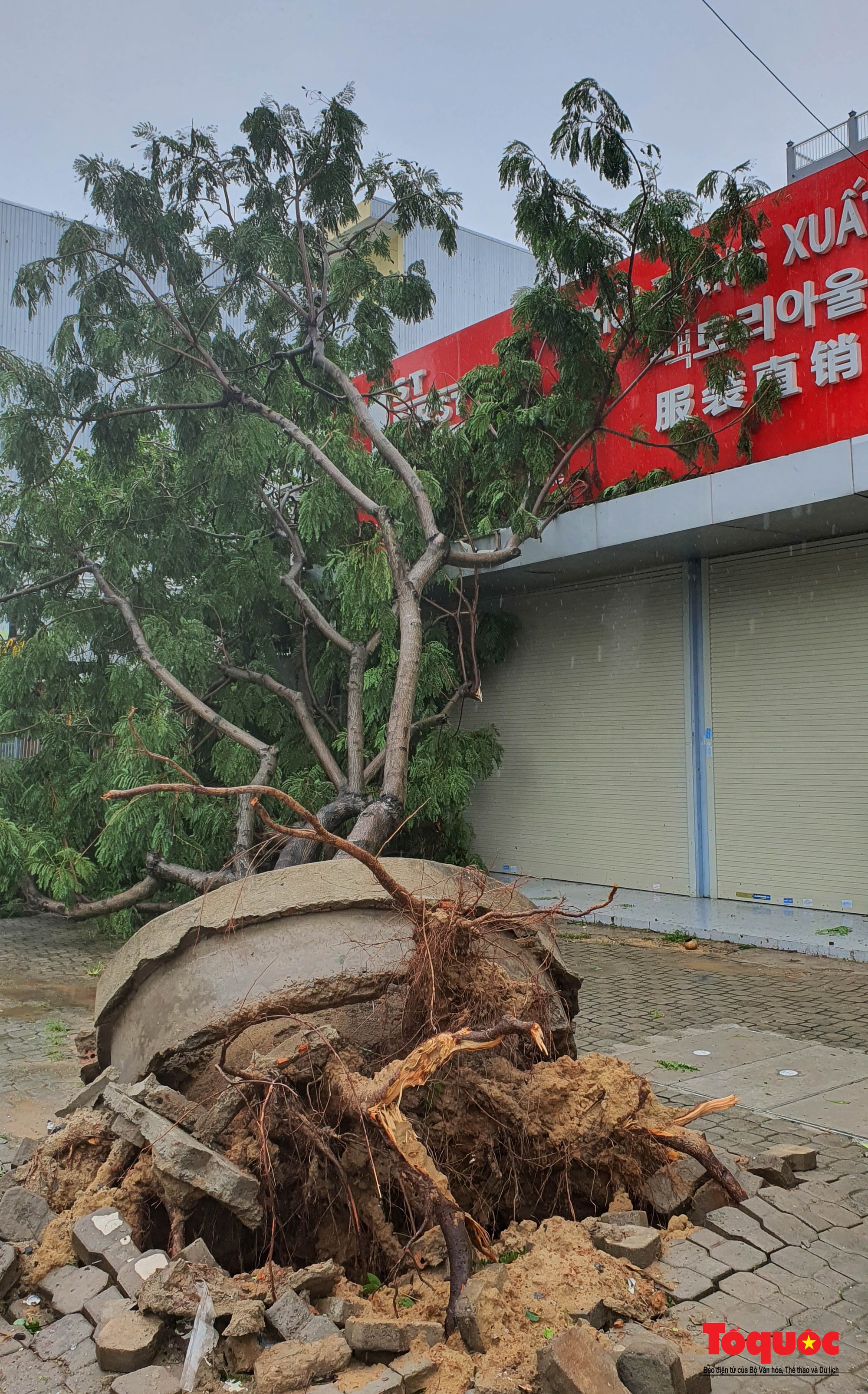 Hình ảnh bão Noru gây thiệt hại tại Đà Nẵng - Ảnh 14.