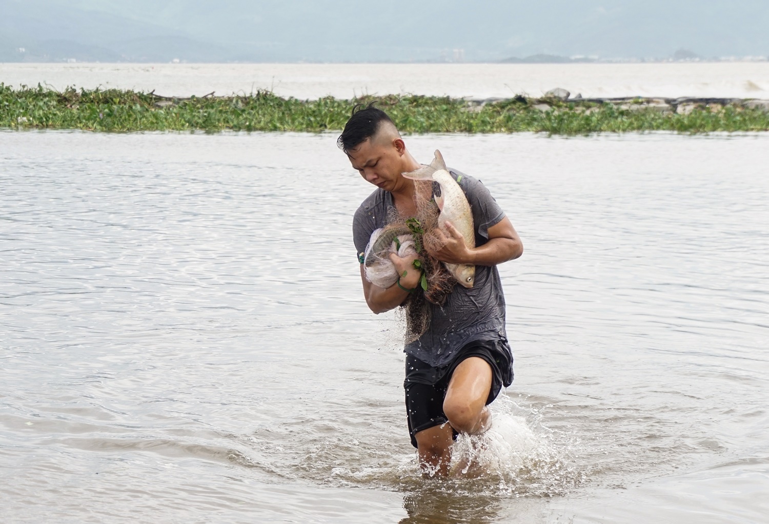Người dân Đà Nẵng đổ ra biển &quot;săn&quot; cá nước ngọt &quot;khủng&quot; sau bão - Ảnh 3.
