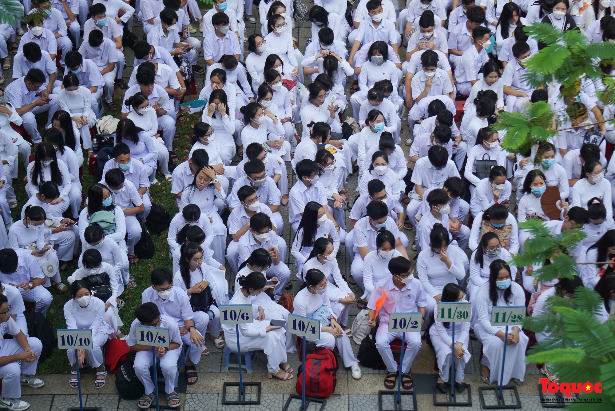 Hơn 275.000 học sinh Đà Nẵng dự khai giảng trực tiếp năm học 2022-2023 - Ảnh 2.