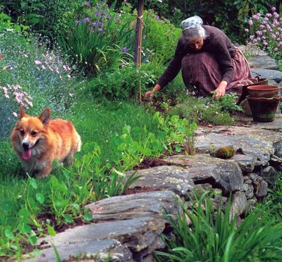 Cụ bà 92 tuổi cải tạo mảnh đất quê thành căn nhà vườn nên thơ trị giá 2 triệu USD - Ảnh 2.