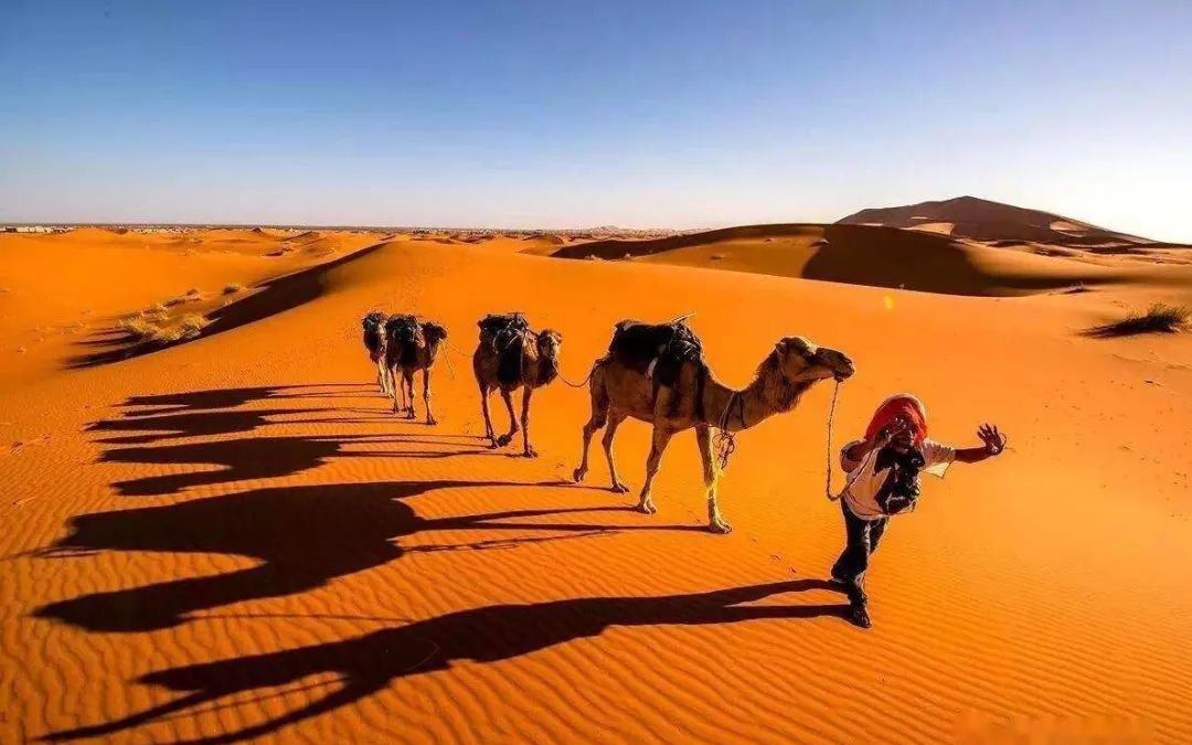 Bên dưới lớp cát dày của sa mạc Sahara ở Châu Phi có gì?
