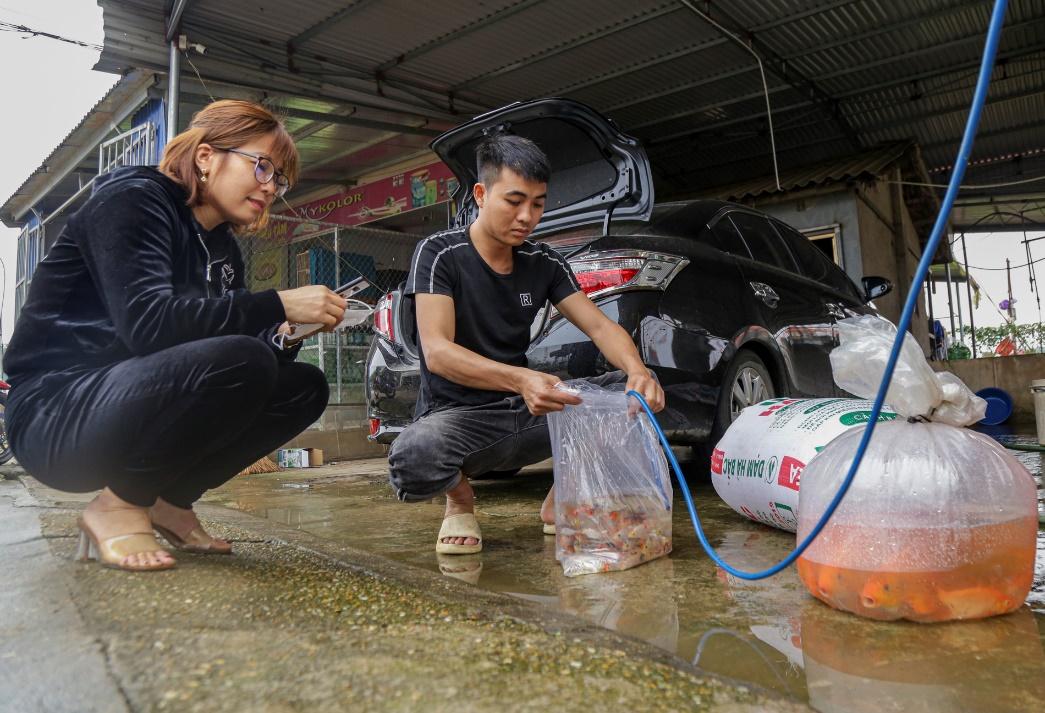 Người dân làng cá chép đỏ mỏi tay thu hoạch vì &quot;được mùa, trúng giá&quot; phục vụ Tết ông Công ông Táo - Ảnh 12.