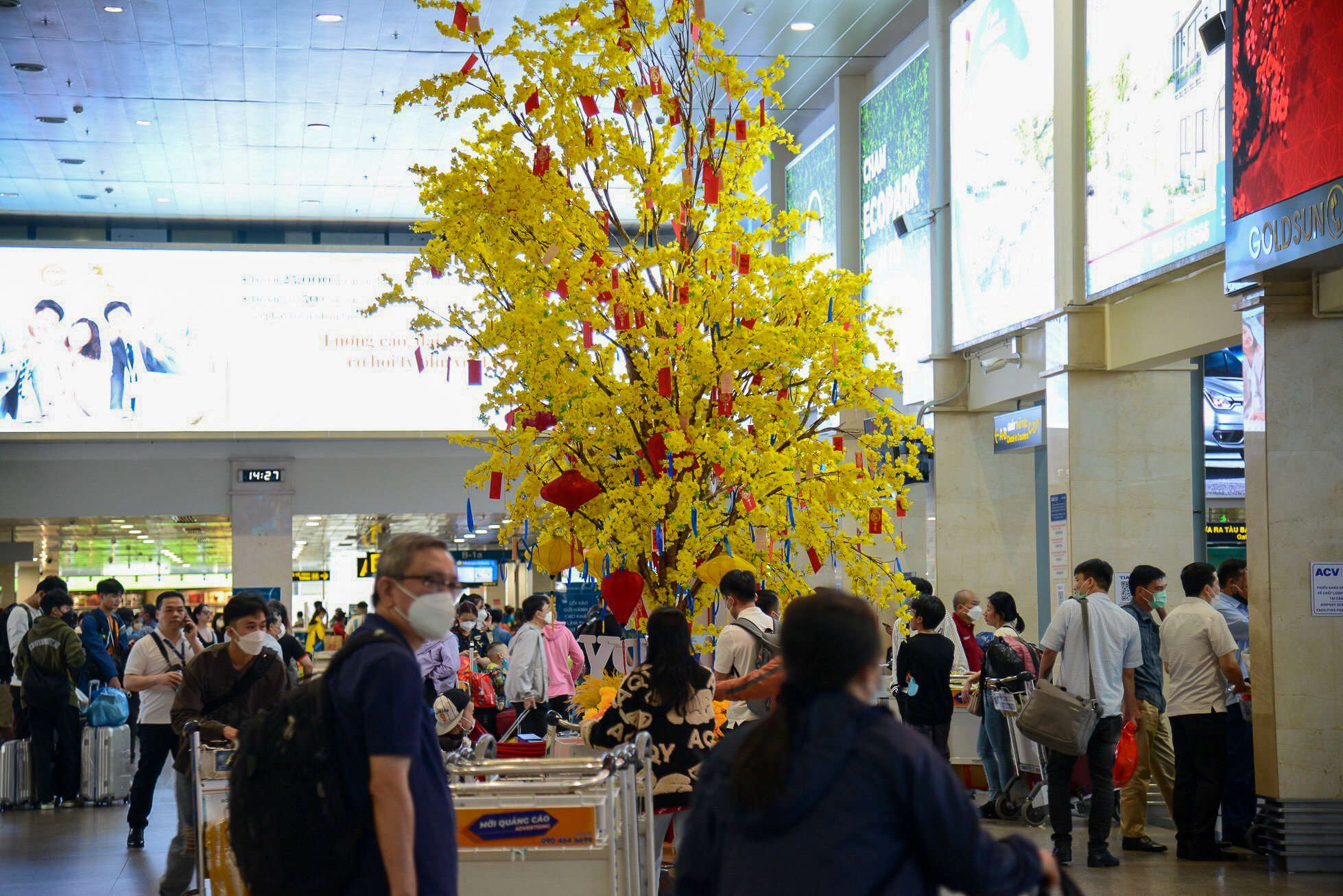 Hành khách xếp hàng dài tại sân bay Tân Sơn Nhất để về quê đón Tết  - Ảnh 5.