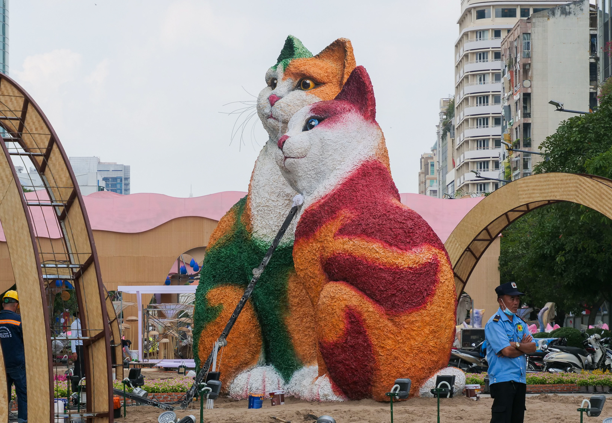 &quot;Hoa hậu&quot; và &quot;nam vương&quot; mèo đã lộ diện ở Đường hoa Nguyễn Huệ  - Ảnh 3.