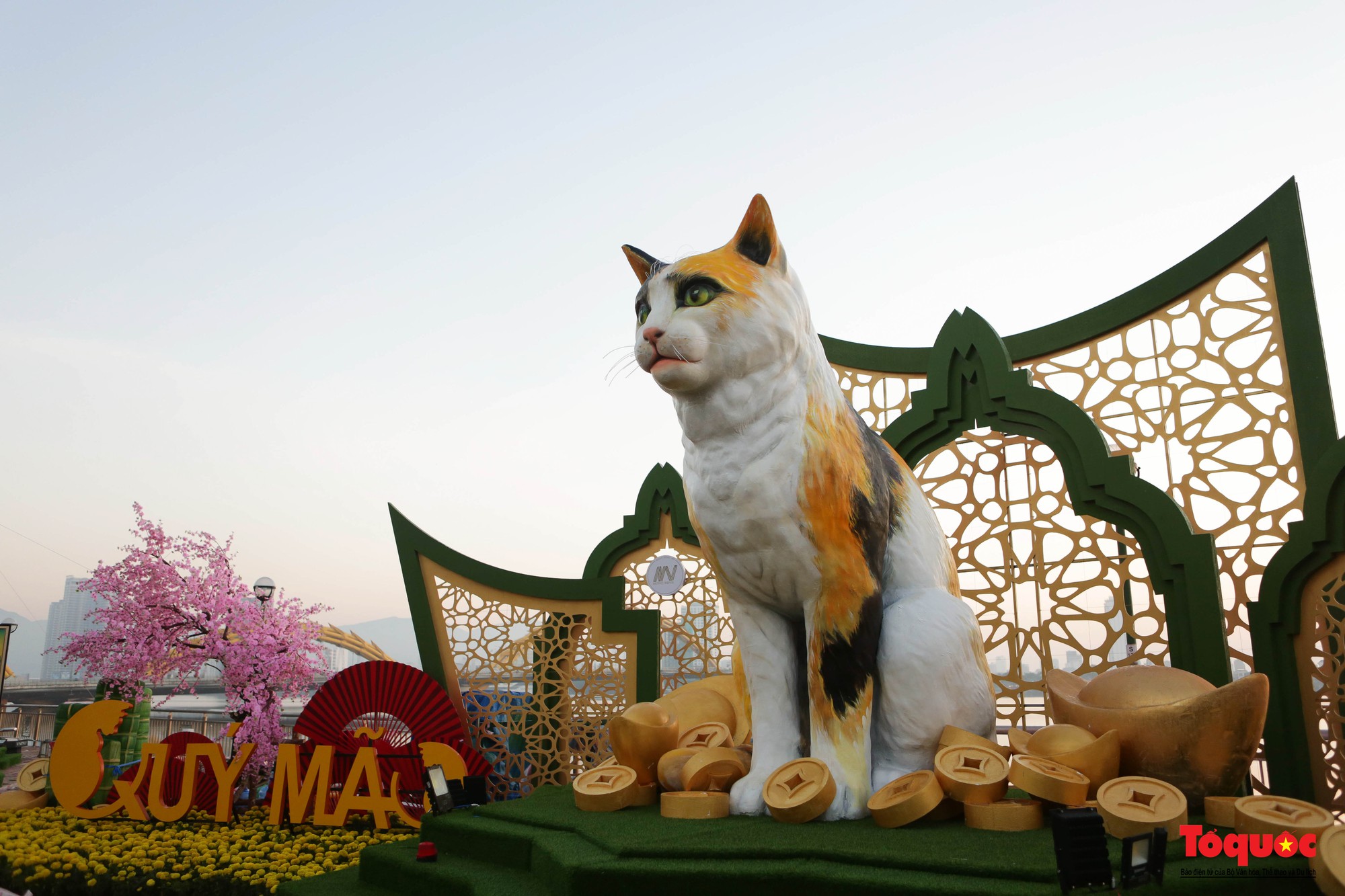 Ngắm linh vật mèo tại đường hoa xuân Đà Nẵng - Ảnh 11.