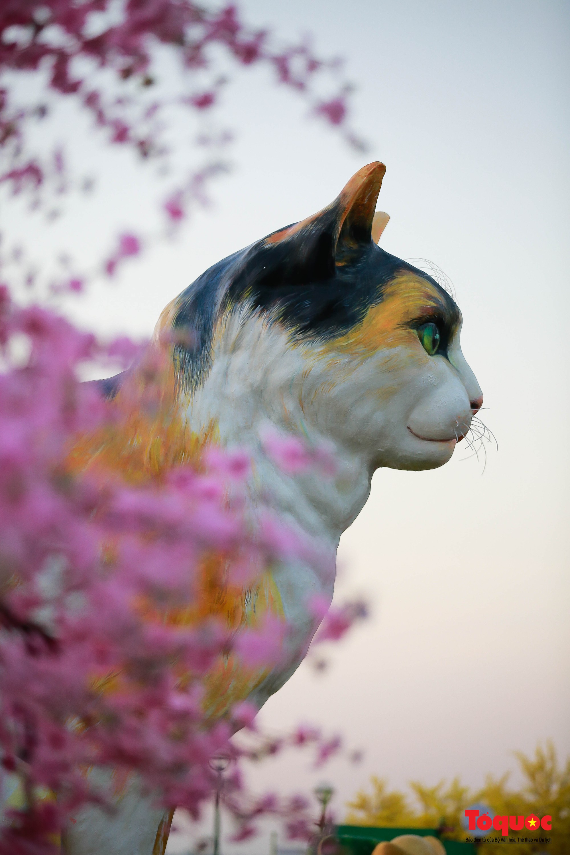Ngắm linh vật mèo tại đường hoa xuân Đà Nẵng - Ảnh 12.