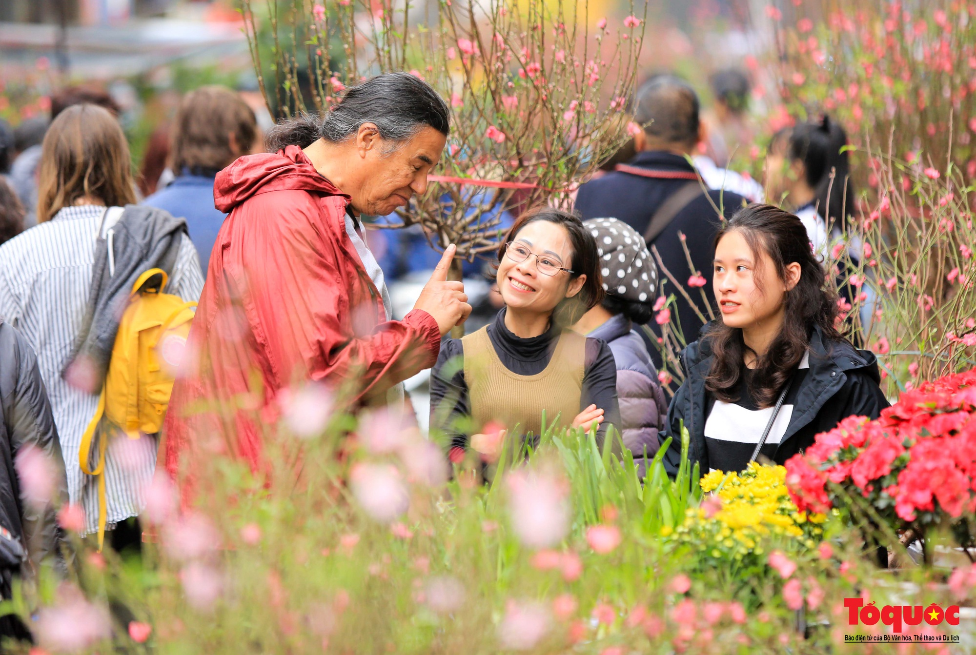 Du khách nước ngoài thích thú với chợ hoa Hàng Lược - Ảnh 6.