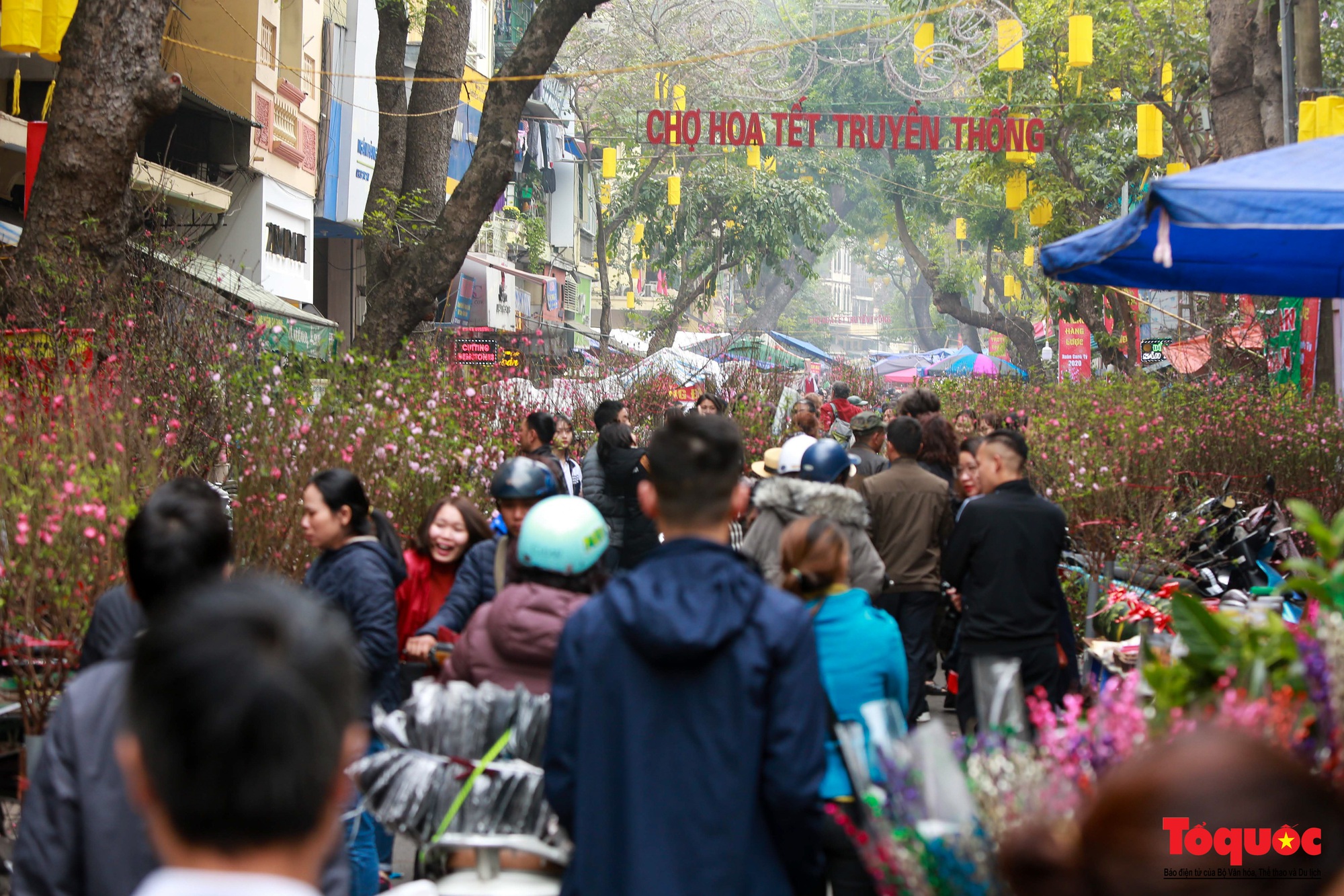 Du khách nước ngoài thích thú với chợ hoa Hàng Lược - Ảnh 1.