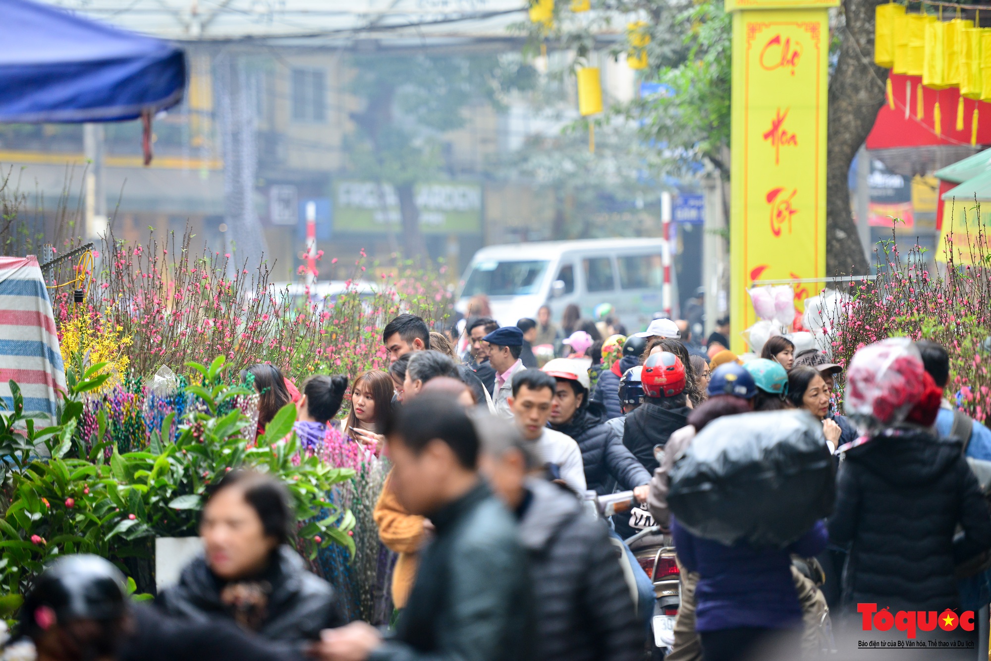 Du khách nước ngoài thích thú với chợ hoa Hàng Lược - Ảnh 3.