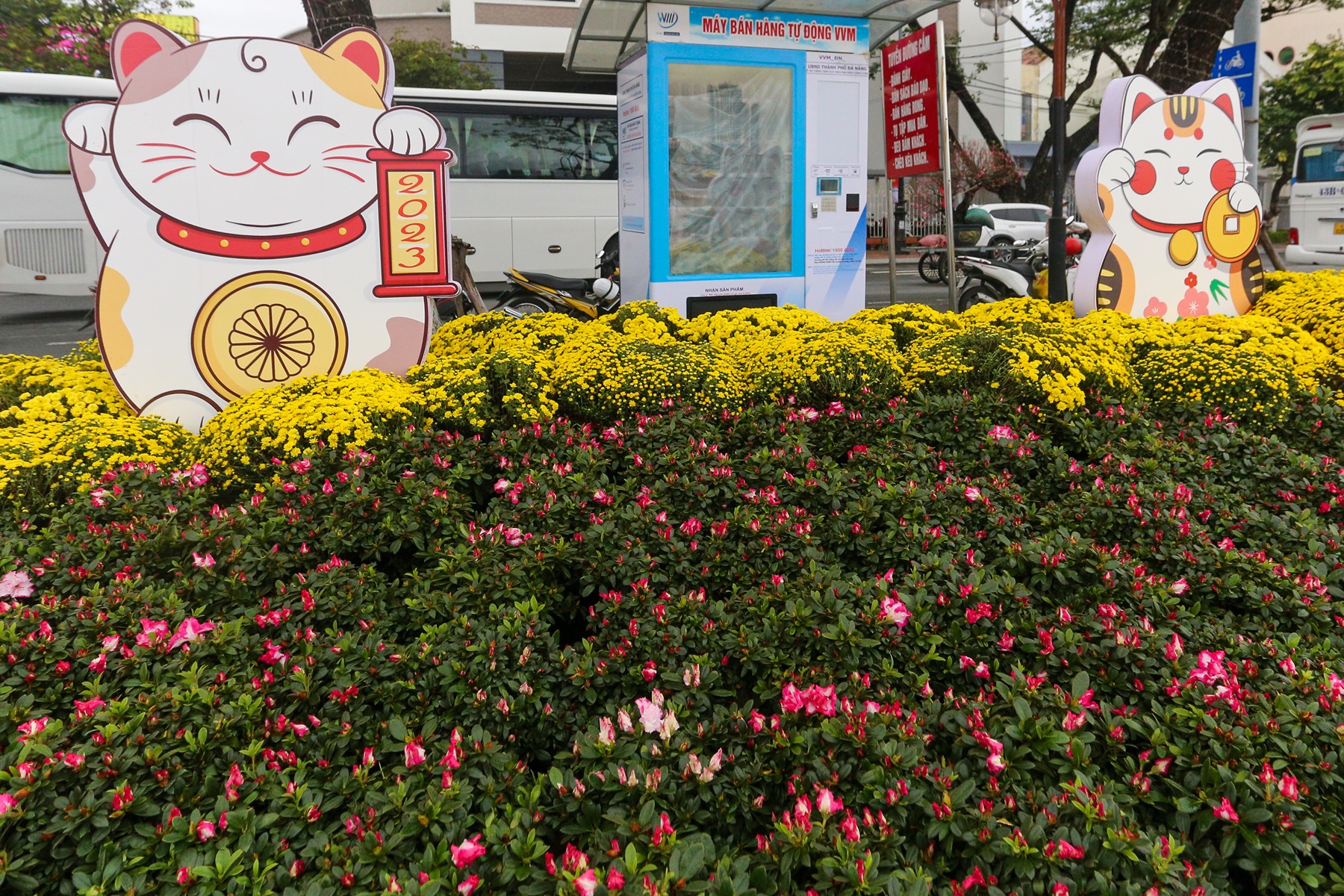 Lộ diện đàn linh vật mèo đủ sắc thái tại đường hoa Xuân Đà Nẵng - Ảnh 17.