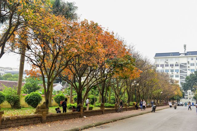 Đột nhập Đại học Sư phạm Hà Nội - nơi đào tạo giáo viên lớn nhất Vịnh Bắc Bộ - Ảnh 8.