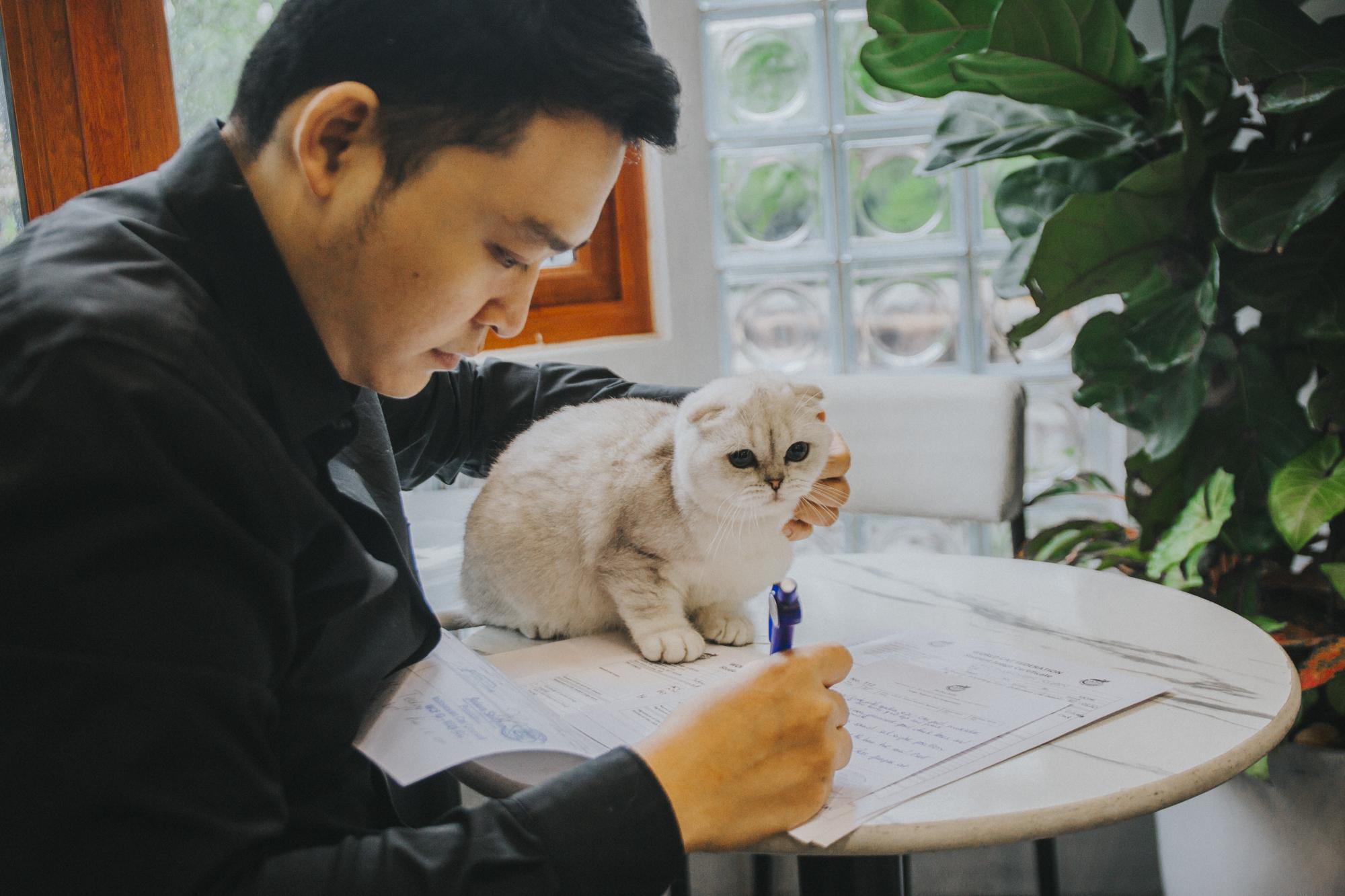 Hành trình gian khổ, kéo dài hàng chục năm để trở thành giám khảo mèo của chủ tịch &quot;hội con sen&quot; Việt Nam - Ảnh 4.