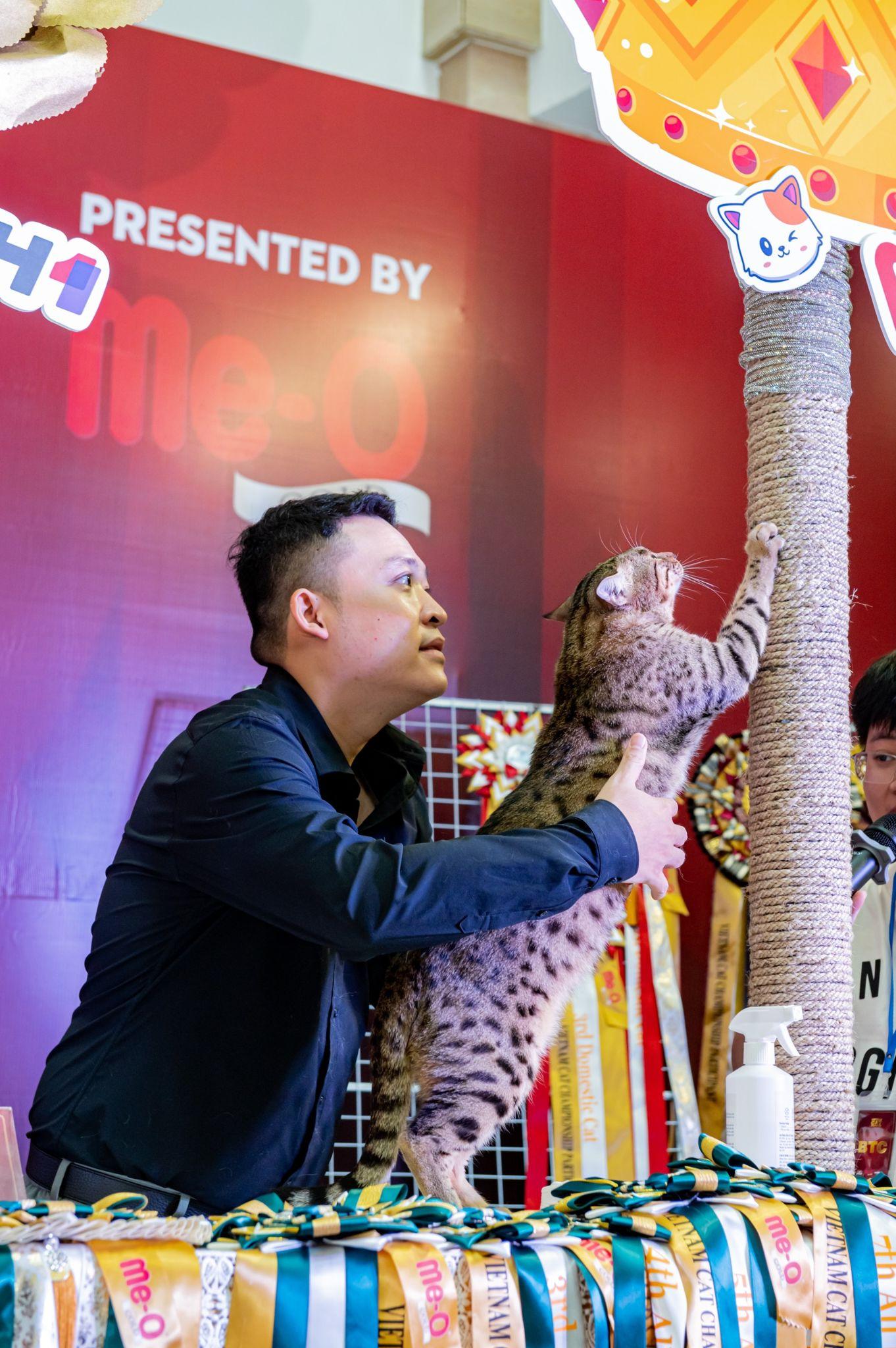 Hành trình gian khổ, kéo dài hàng chục năm để trở thành giám khảo mèo của chủ tịch &quot;hội con sen&quot; Việt Nam - Ảnh 5.