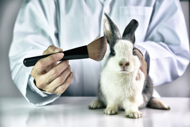 Đến lượt Canada gia nhập “hội những nước không thử nghiệm mỹ phẩm trên động vật” - Ảnh 3.