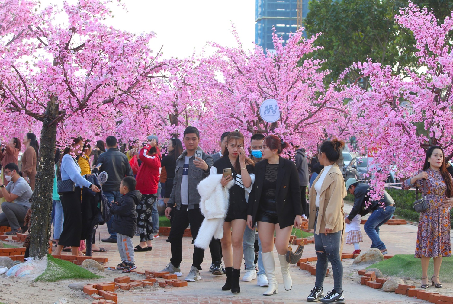 Đà Nẵng giữ lại đường hoa Xuân thêm 1 tuần để người dân và du khách check-in - Ảnh 4.
