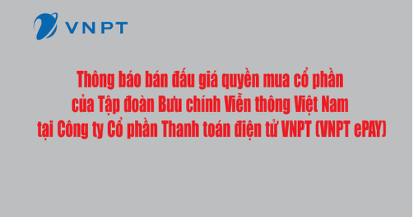 Bán đấu giá quyền mua cổ phần của VNPT tại VNPT ePAY - Ảnh 1.