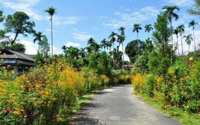 Ngôi làng được trao danh hiệu "sạch nhất châu Á": Bói không ra cọng rác, nằm ở nơi ít người nghĩ tới - Ảnh 3. Ngôi làng được trao danh hiệu "sạch nhất châu Á": Bói không ra cọng rác, nằm ở nơi ít người nghĩ tới - Ảnh 3.