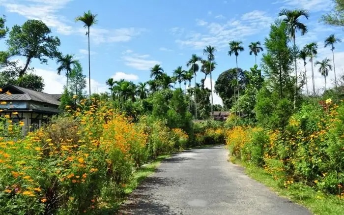 Ngôi làng được trao danh hiệu &quot;sạch nhất châu Á&quot;: Bói không ra cọng rác, nằm ở nơi ít người nghĩ tới - Ảnh 3.