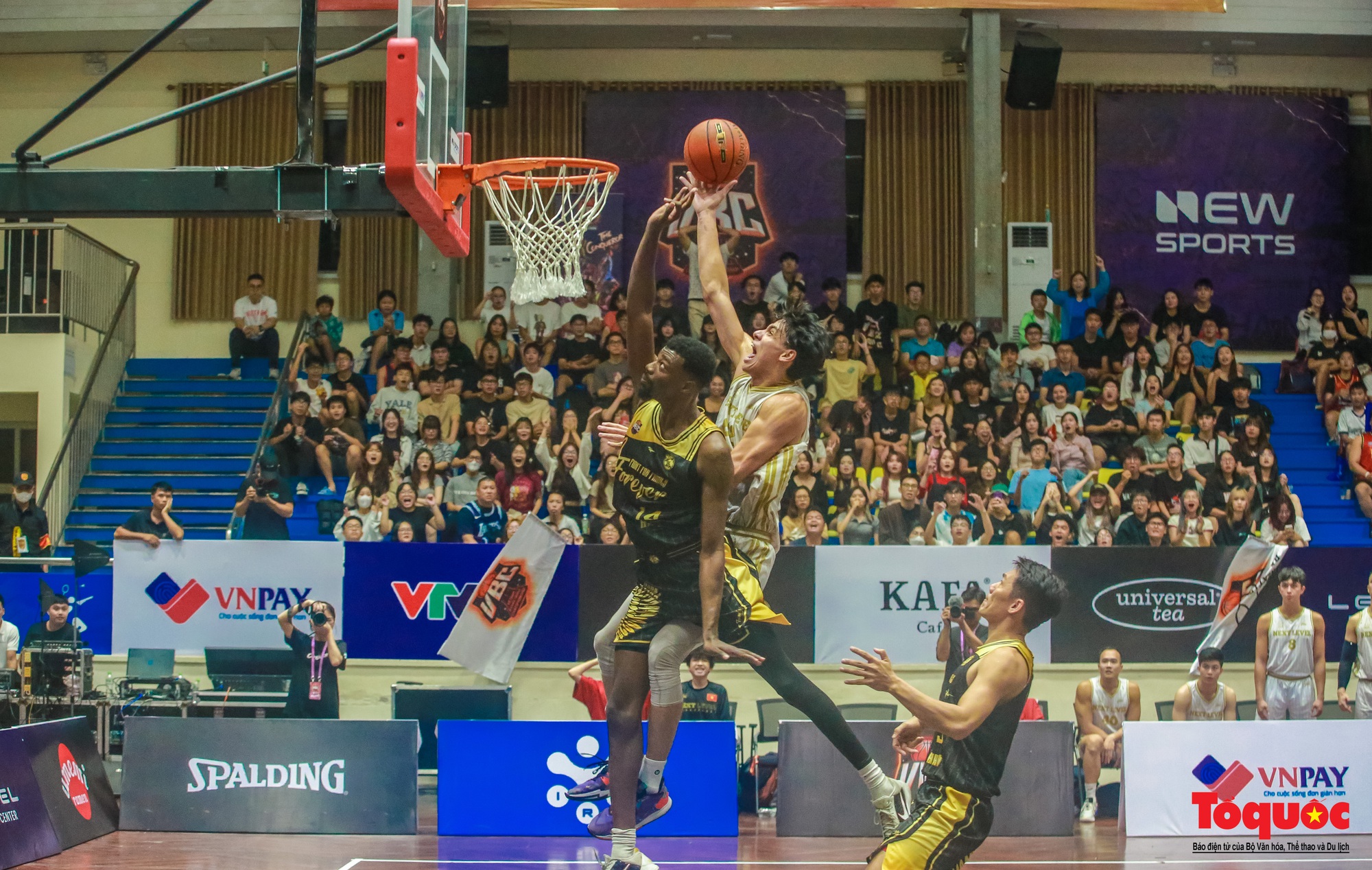Dàn sao 3F Galaxy giành cúp vô địch Giải bóng rổ Vietnam Pro-Am Basketball Championship 2023 - Ảnh 7.