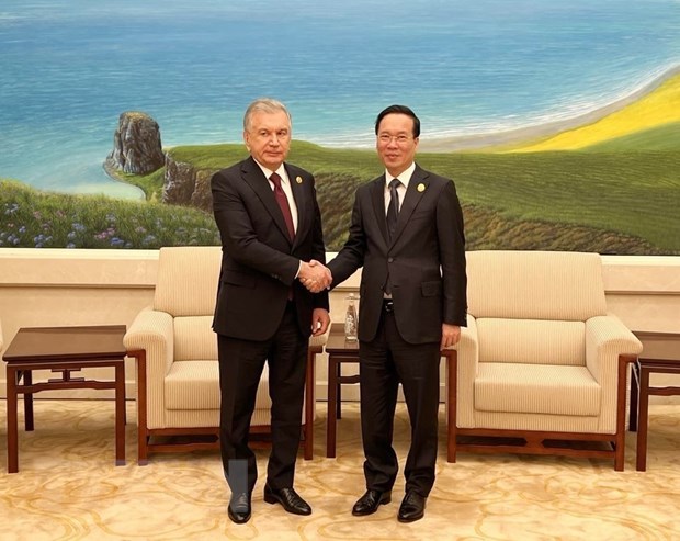 Chuỗi hoạt động của Chủ tịch nước Võ Văn Thưởng tại Trung Quốc ngày 17/10 - Ảnh 5.
