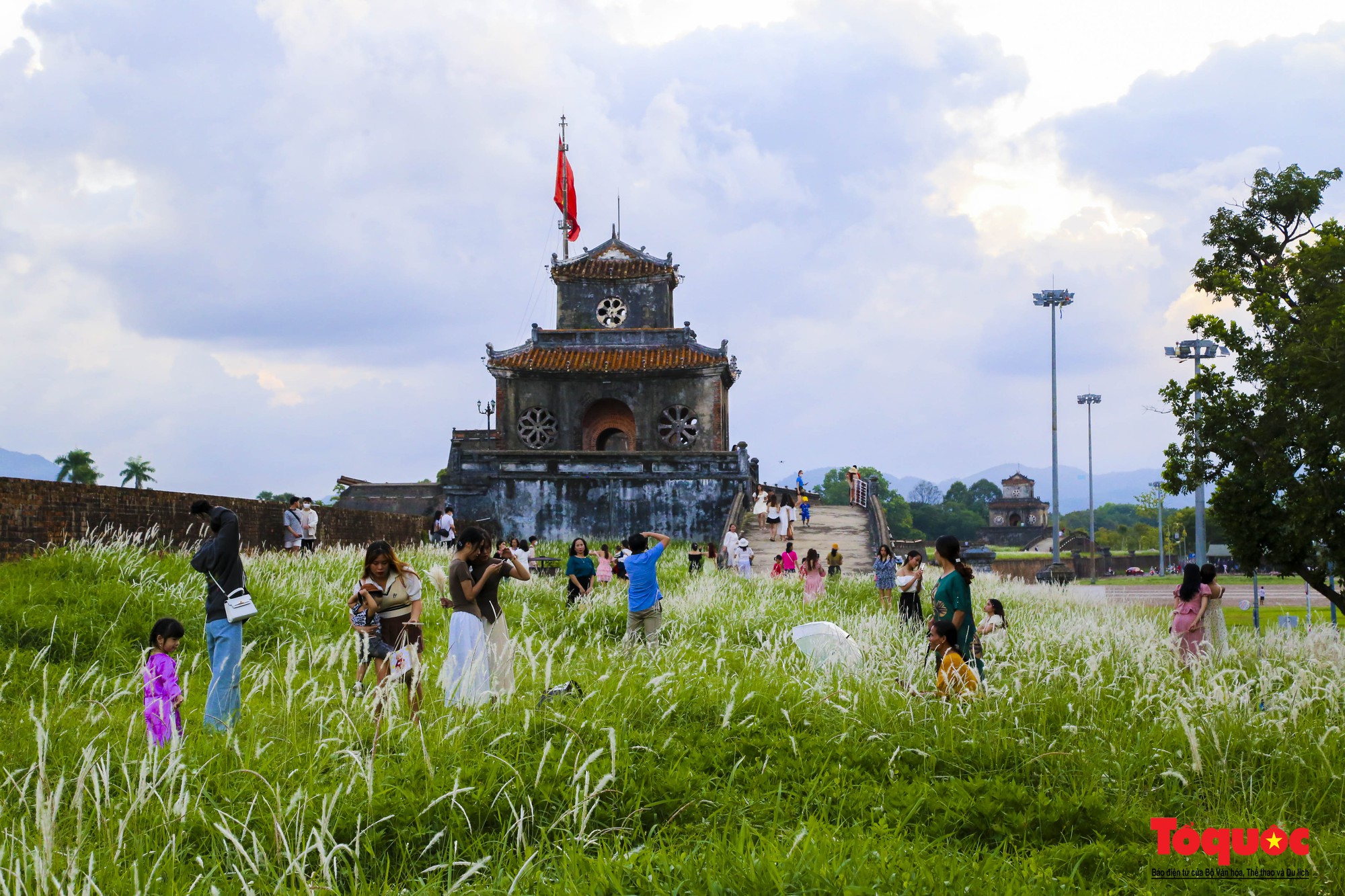 Du khách thích thú ngắm hoa cỏ tranh bung nở trắng muốt bên đường đi bộ trên thượng thành Huế - Ảnh 2.