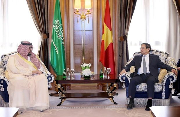 Nhiều tiềm năng thúc đẩy hợp tác giữa Việt Nam và Saudi Arabia - Ảnh 1.