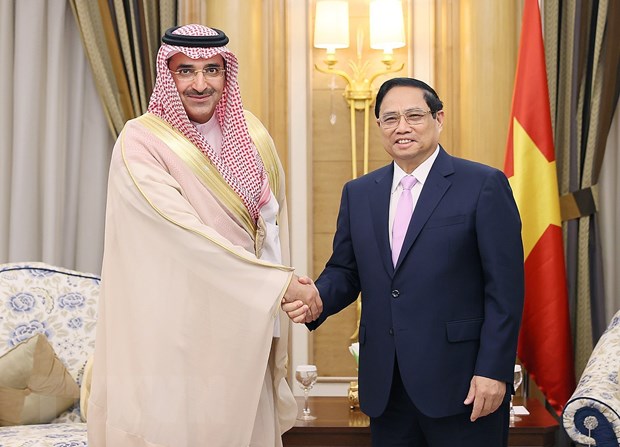 Nhiều tiềm năng thúc đẩy hợp tác giữa Việt Nam và Saudi Arabia - Ảnh 4.