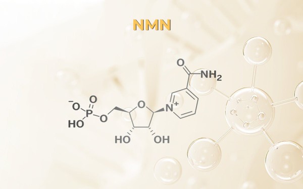 Sản phẩm chứa NMN có phải bí quyết trẻ hóa da như lời đồn? - Ảnh 1.