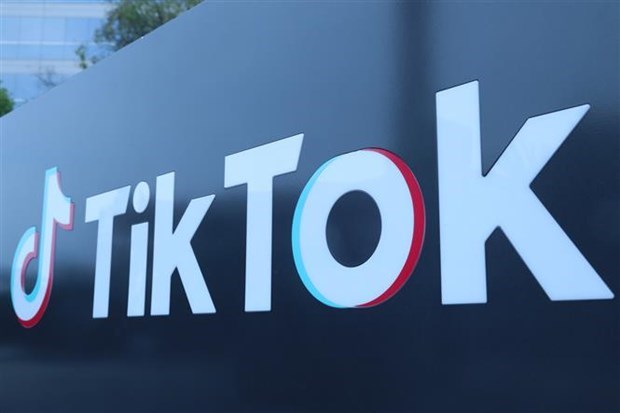 Công bố hàng loạt vi phạm của TikTok tại Việt Nam - Ảnh 2.
