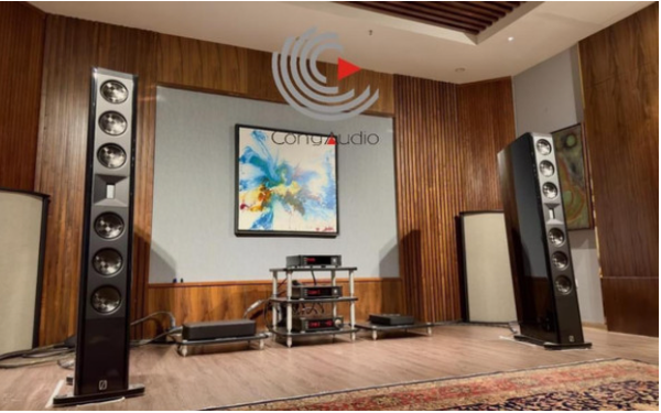 Triển lãm AV Show - Ngày hội của các Audiophile - Ảnh 1.