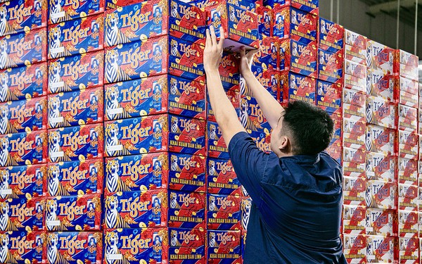 Tiger Beer gửi lời chúc khai xuân bản lĩnh với lon cao mới - Ảnh 1.