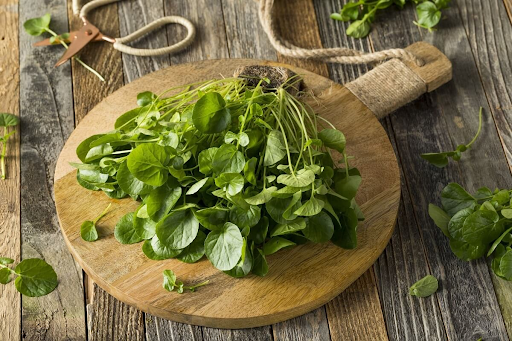 1 loại rau đắng tự nhiên, được CDC đánh giá là “rau tốt nhất thế giới”: Là “thuốc” ngừa ung thư, quen với người Việt - Ảnh 1.