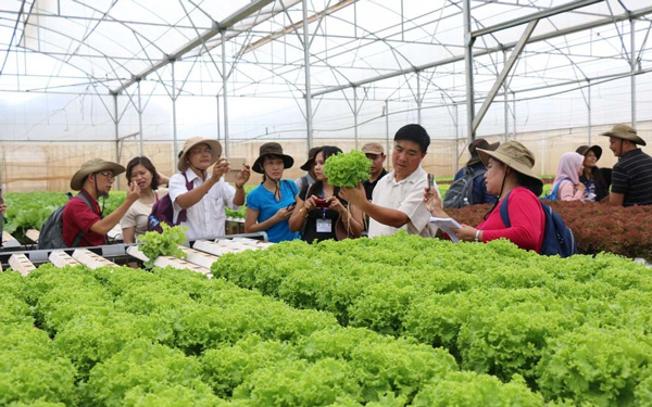 Nông nghiệp hợp tác giúp nông dân Thái Lan thoát nghèo - Ảnh 1.